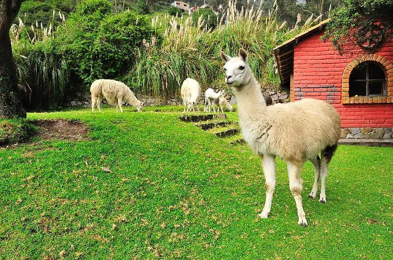 מלון קיטו Hacienda Rumiloma